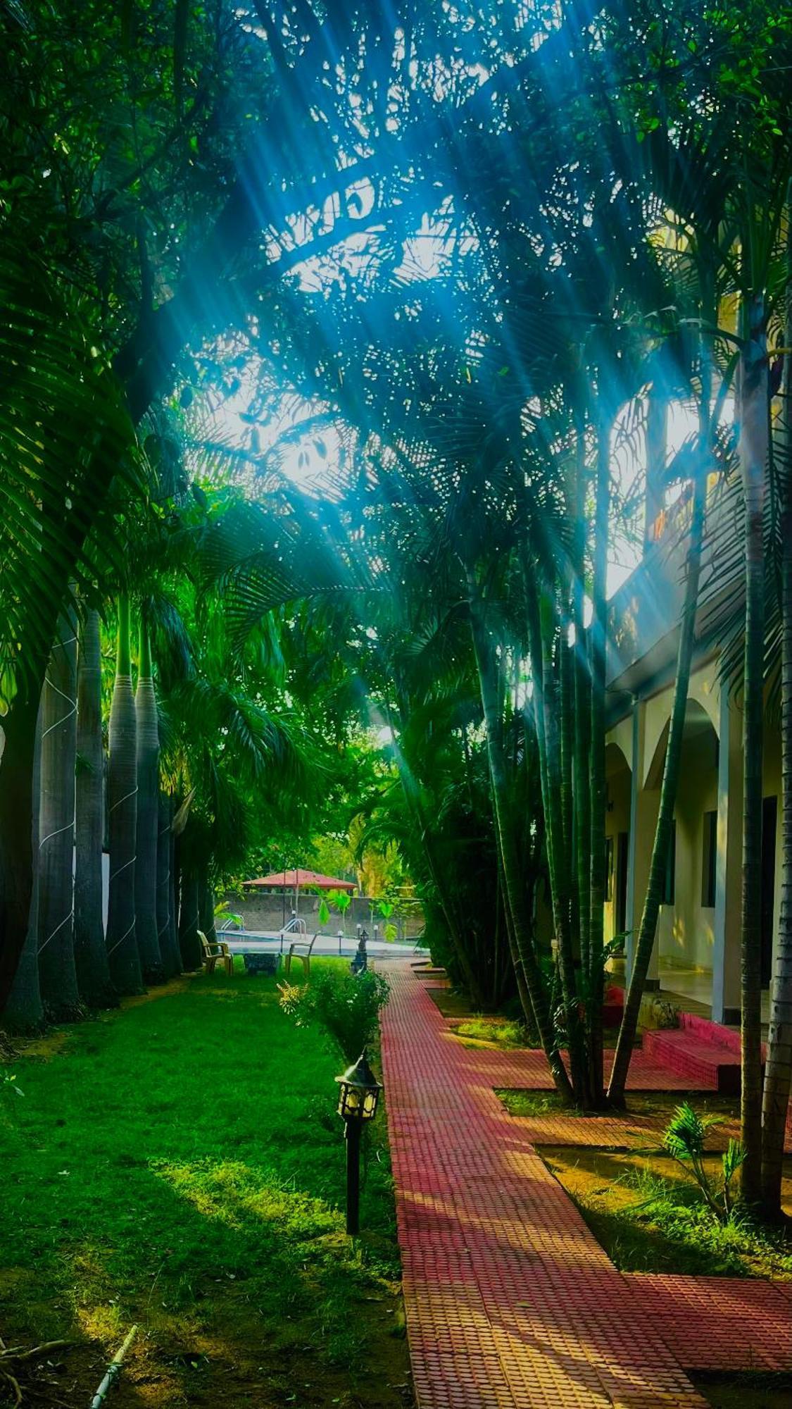 Hotel Jungle Palace Resort Umariā Zewnętrze zdjęcie